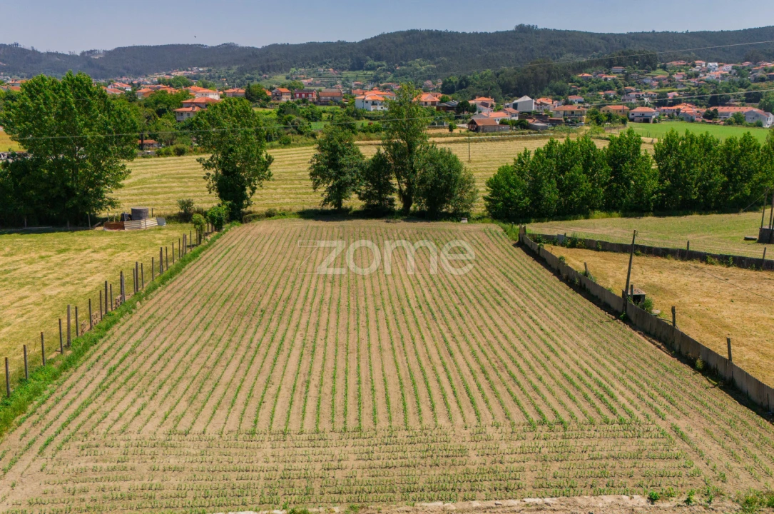 Moradia T7 para Venda em Vale (São Cosme), Telhado e Portela Foto 8
