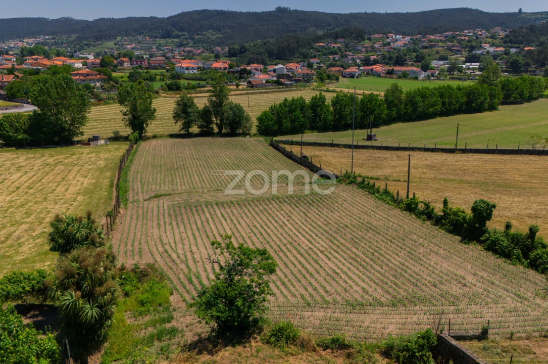 Moradia T7 para Venda em Vale (São Cosme), Telhado e Portela Foto 14