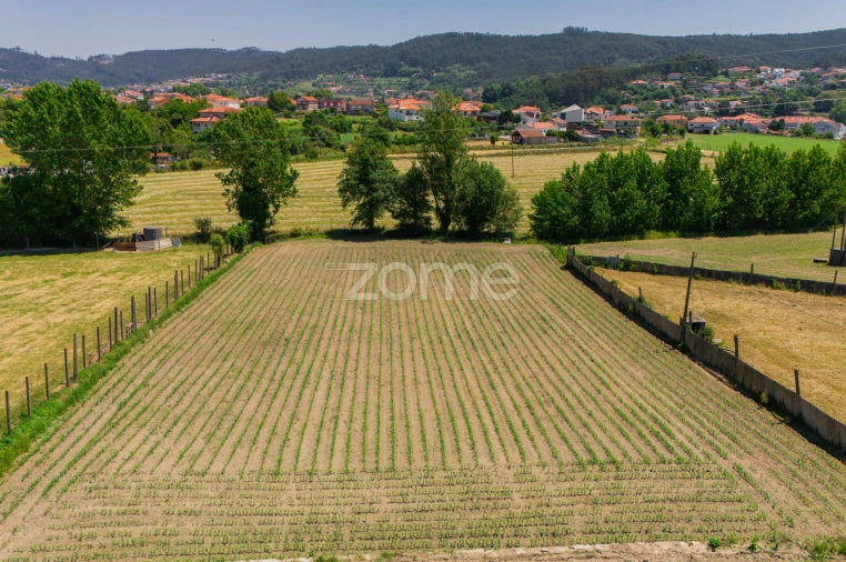 Moradia T7 para Venda em Vale (São Cosme), Telhado e Portela Foto 8