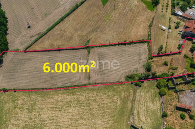 Moradia T7 para Venda em Vale (São Cosme), Telhado e Portela Foto 25
