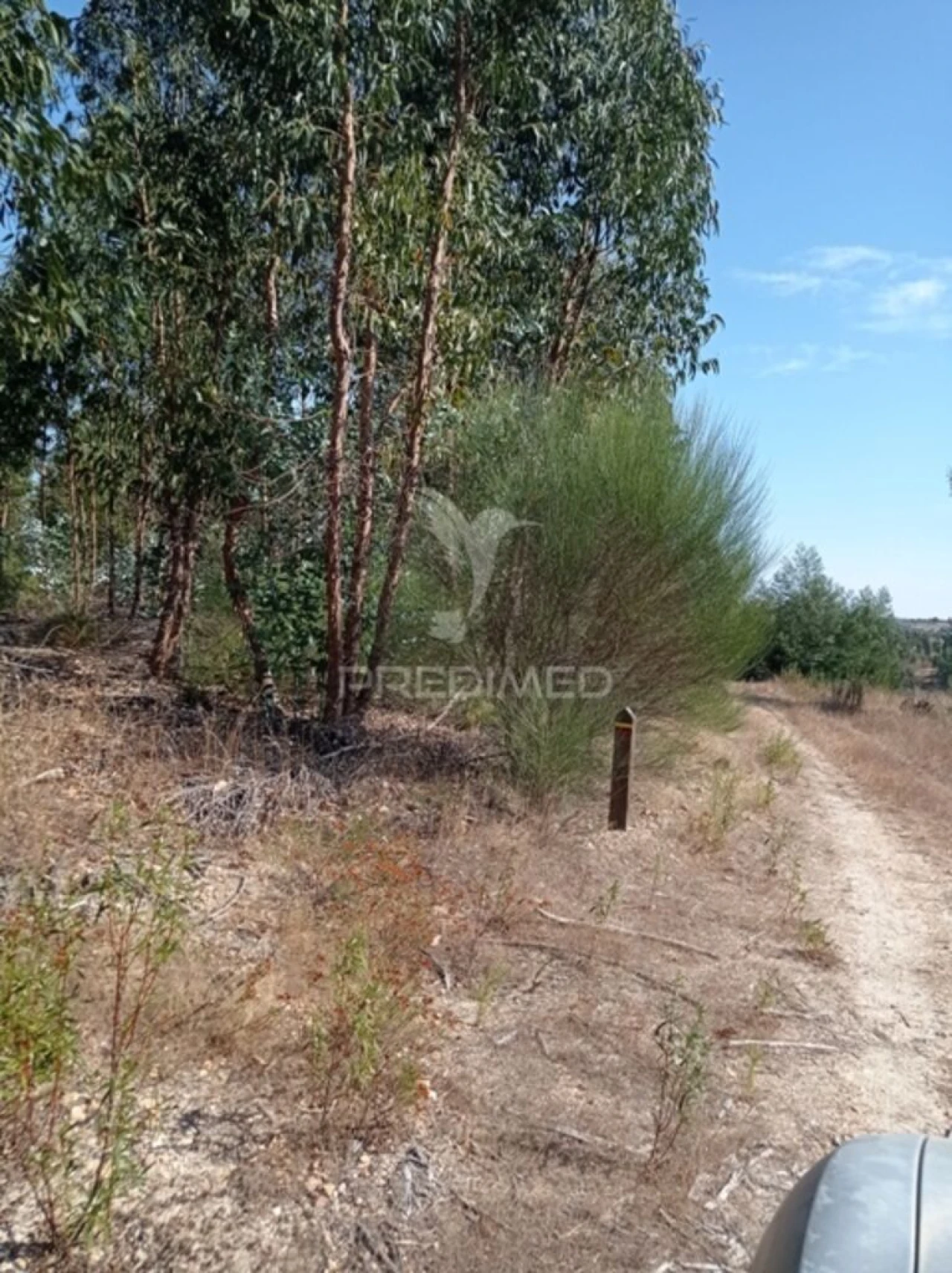 Terreno para Venda em Margem Foto 10