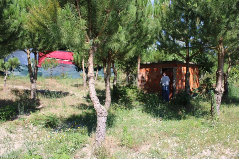 Terreno para Venda em Santiago de Cassurrães e Póvoa de Cervães Foto 20