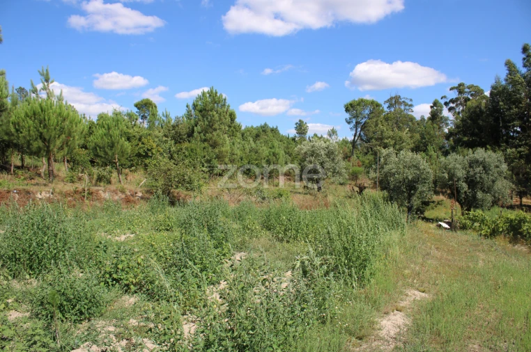 Terreno para Venda em Santiago de Cassurrães e Póvoa de Cervães Foto 24