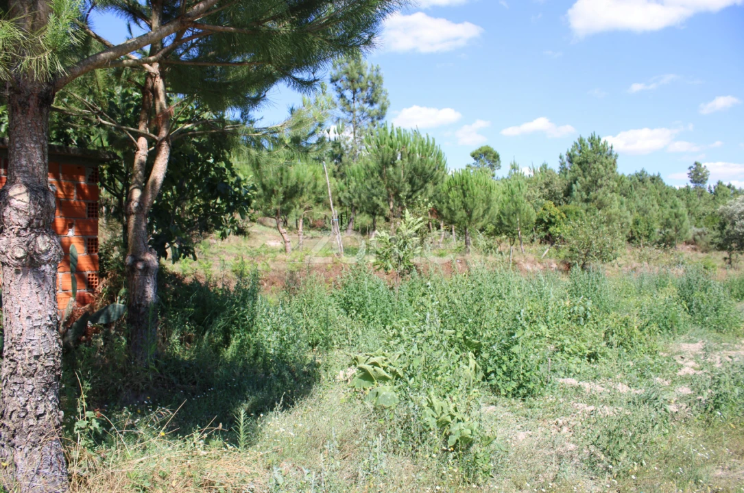 Terreno para Venda em Santiago de Cassurrães e Póvoa de Cervães Foto 24