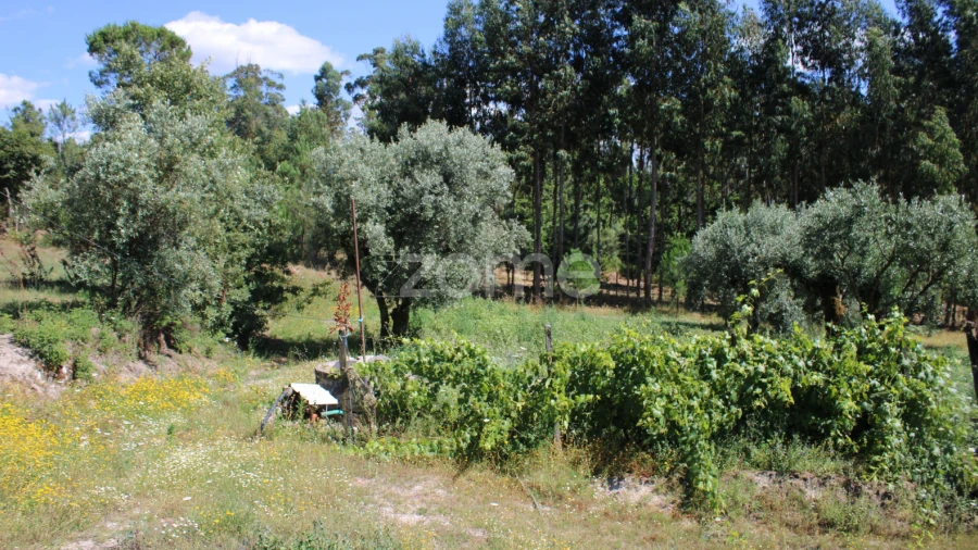Terreno para Venda em Santiago de Cassurrães e Póvoa de Cervães