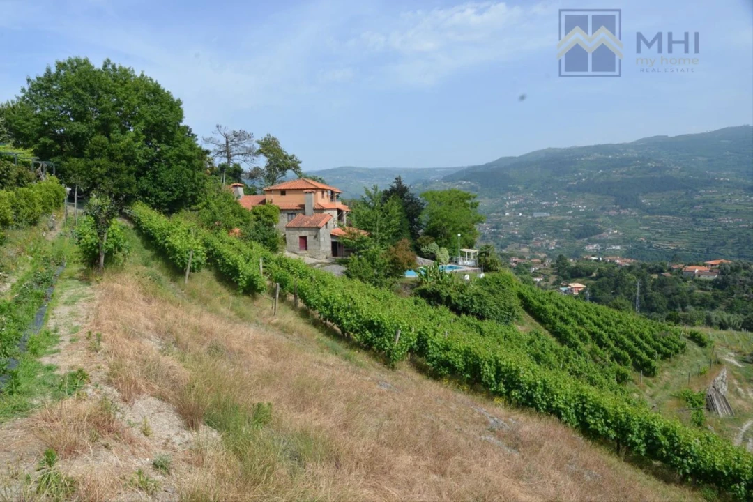 Quinta T11 para Venda em Santa Cruz do Douro e São Tomé de Covelas Foto 4