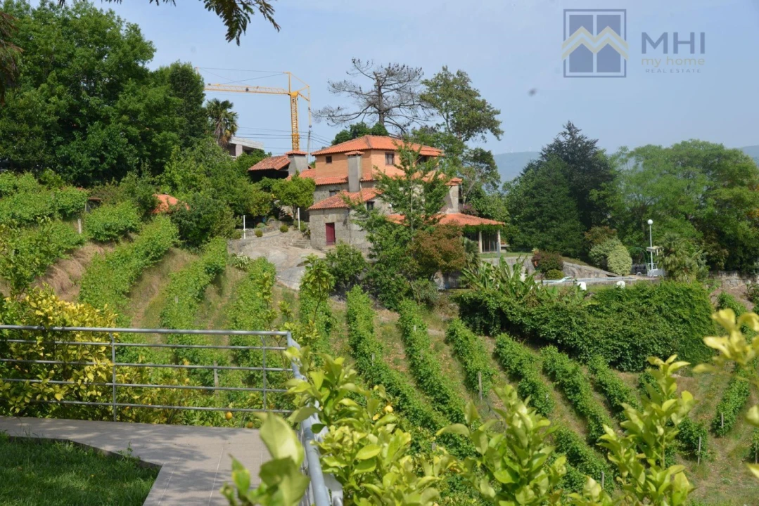 Quinta T11 para Venda em Santa Cruz do Douro e São Tomé de Covelas Foto 5