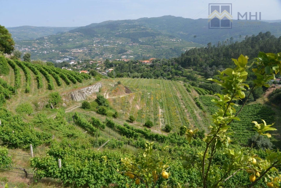 Quinta T11 para Venda em Santa Cruz do Douro e São Tomé de Covelas Foto 6