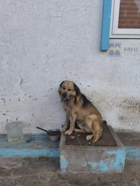 Moradia T9 para Venda em Argoncilhe