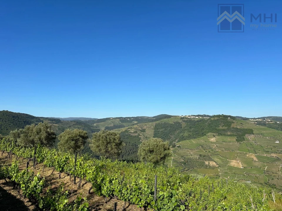 Quinta T6 para Venda em Nogueira e Ermida Foto 9