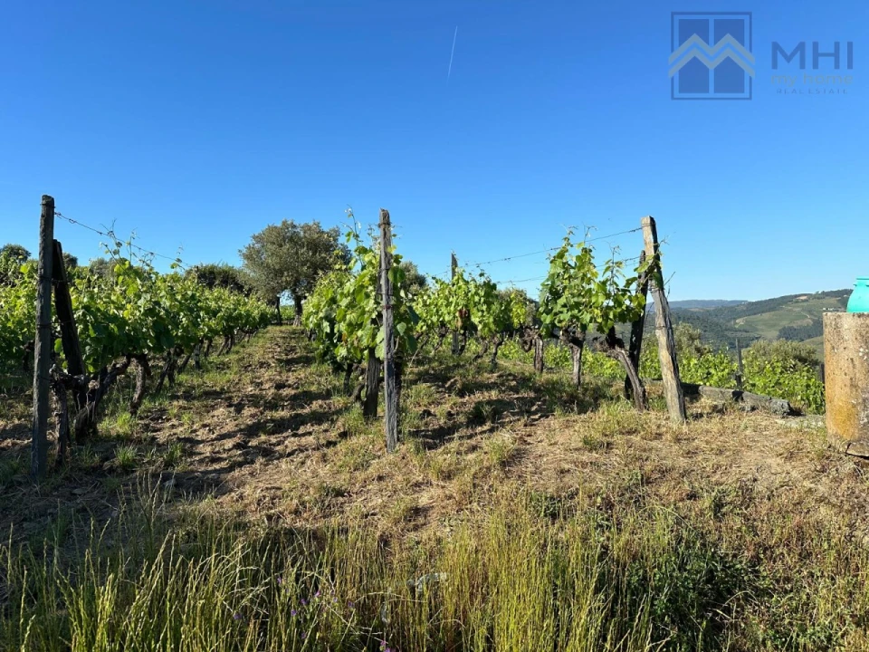 Quinta T6 para Venda em Nogueira e Ermida Foto 13