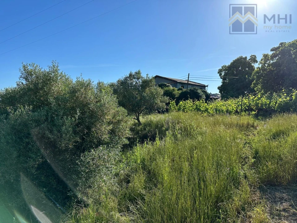 Quinta T6 para Venda em Nogueira e Ermida Foto 15