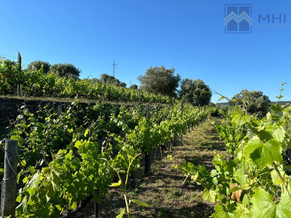 Quinta T6 para Venda em Nogueira e Ermida Foto 20