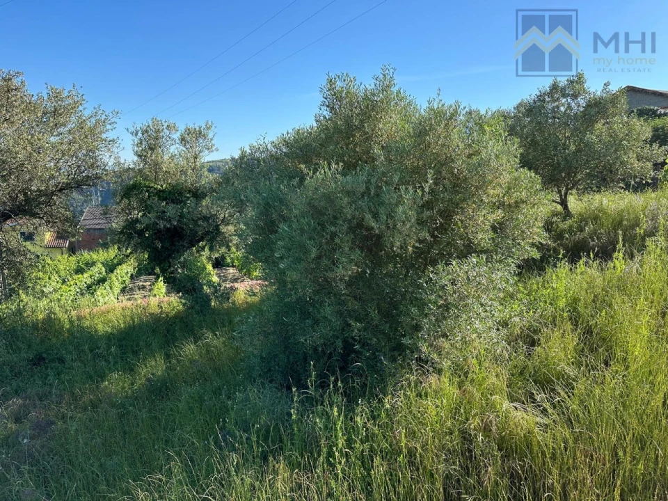 Quinta T6 para Venda em Nogueira e Ermida Foto 21