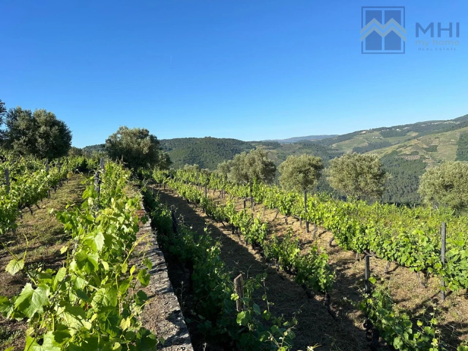 Quinta T6 para Venda em Nogueira e Ermida Foto 23