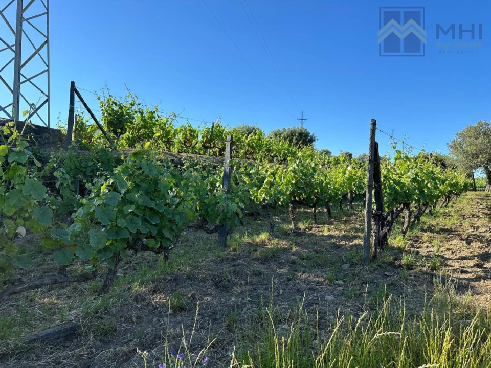 Quinta T6 para Venda em Nogueira e Ermida Foto 24