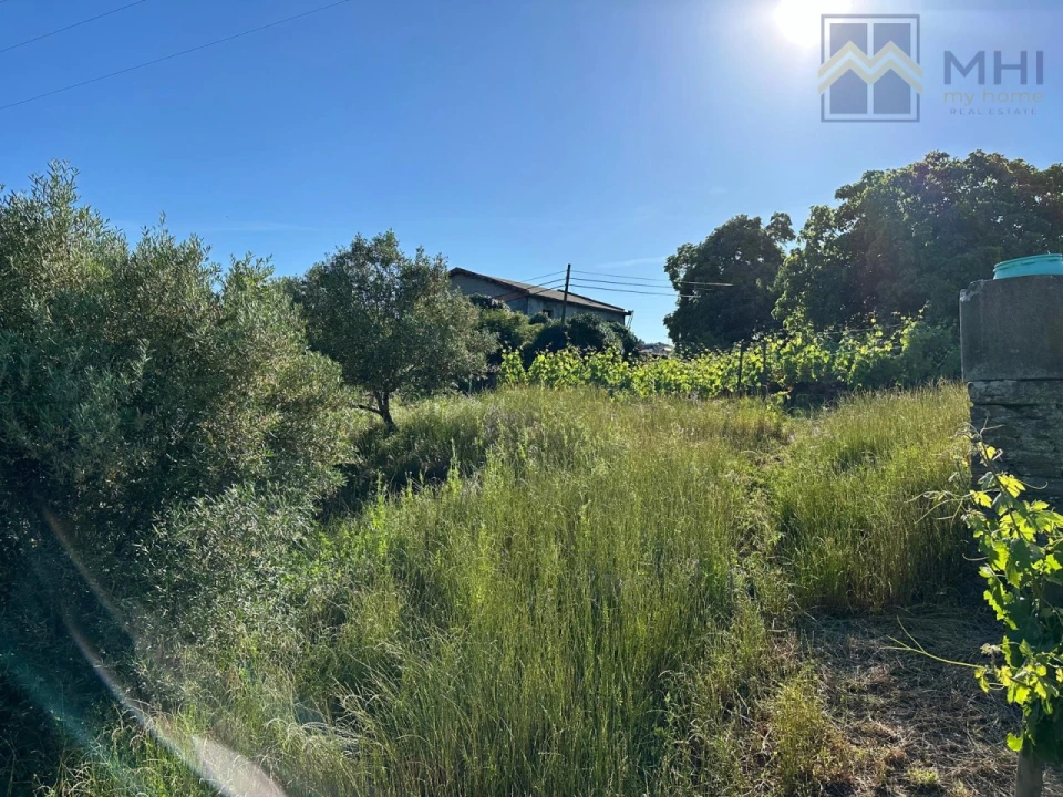 Quinta T6 para Venda em Nogueira e Ermida Foto 25