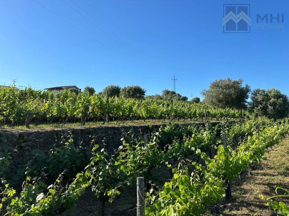 Quinta T6 para Venda em Nogueira e Ermida Foto 41