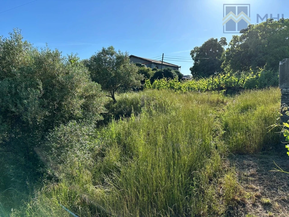 Quinta T6 para Venda em Nogueira e Ermida Foto 42