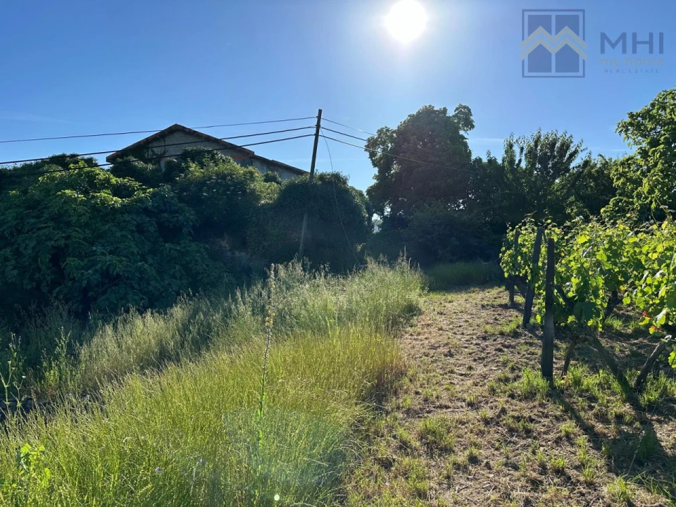 Quinta T6 para Venda em Nogueira e Ermida Foto 48