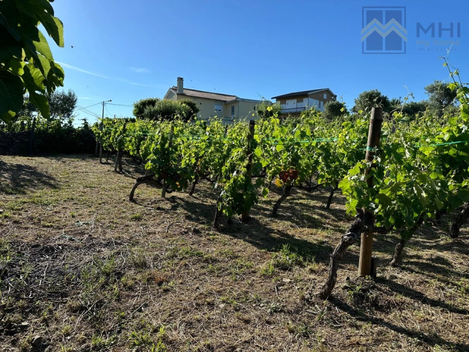 Quinta T6 para Venda em Nogueira e Ermida Foto 58
