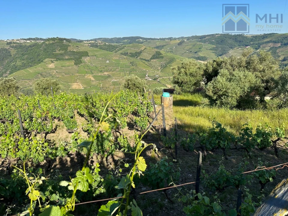 Quinta T6 para Venda em Nogueira e Ermida Foto 59