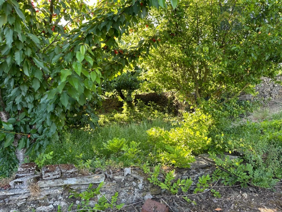 Quinta T6 para Venda em Nogueira e Ermida Foto 61