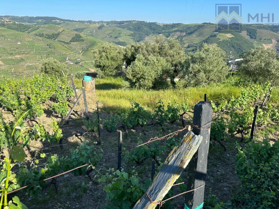 Quinta T6 para Venda em Nogueira e Ermida Foto 65