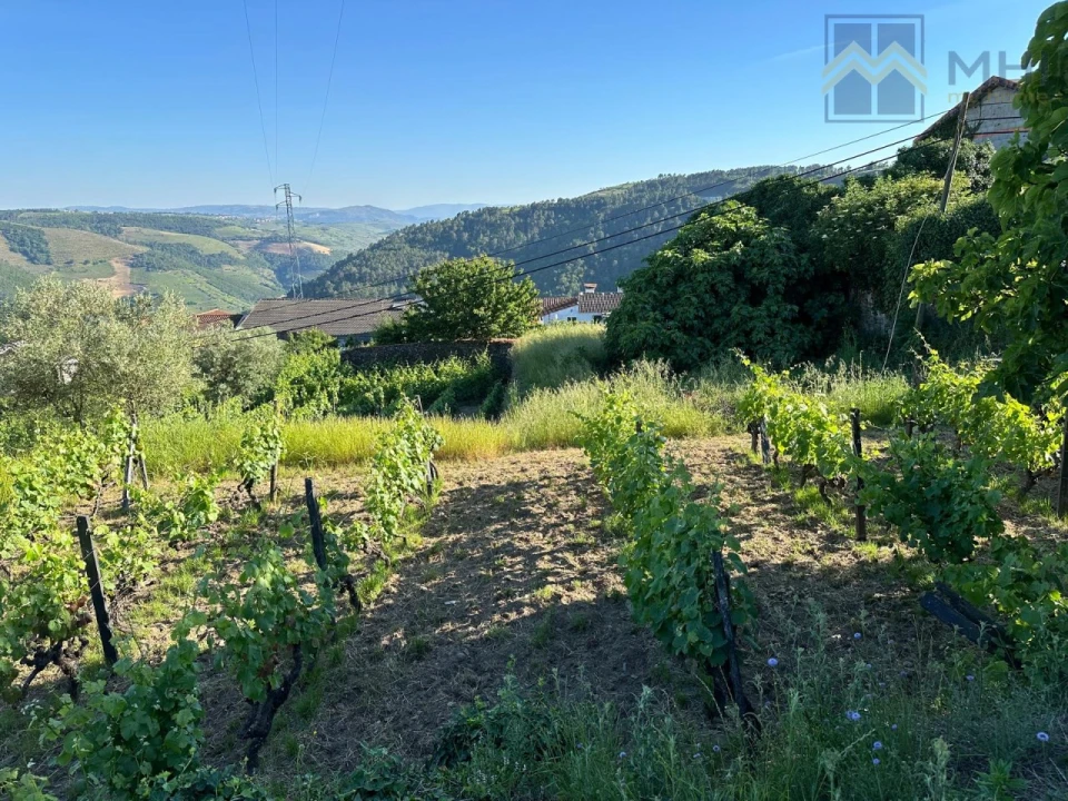 Quinta T6 para Venda em Nogueira e Ermida Foto 66