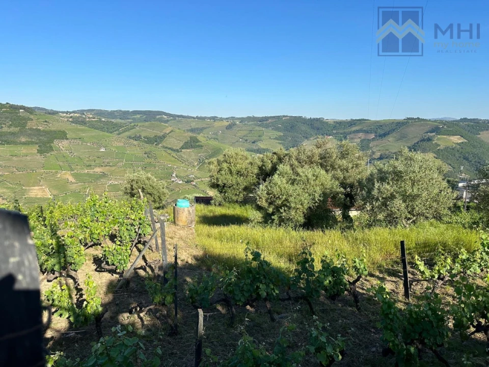 Quinta T6 para Venda em Nogueira e Ermida Foto 70