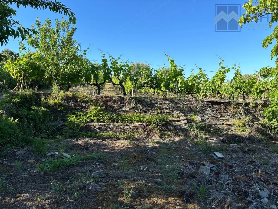 Quinta T6 para Venda em Nogueira e Ermida Foto 71