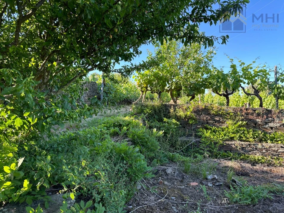 Quinta T6 para Venda em Nogueira e Ermida Foto 74