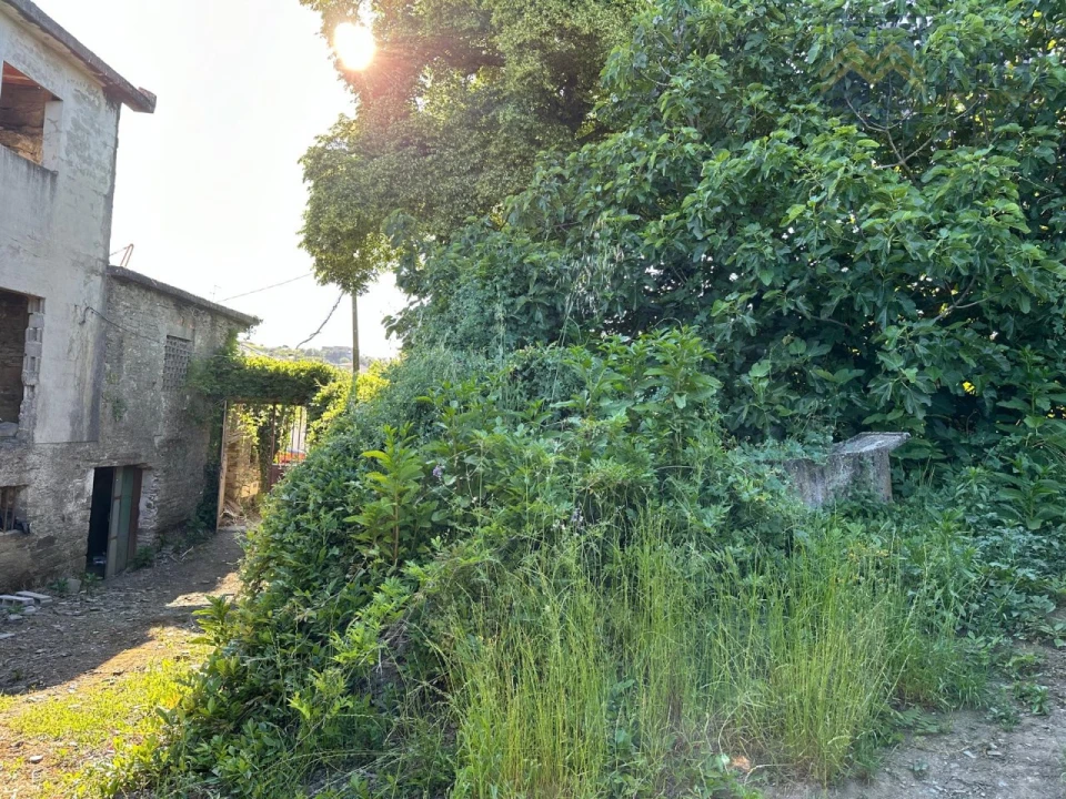 Quinta T6 para Venda em Nogueira e Ermida Foto 76