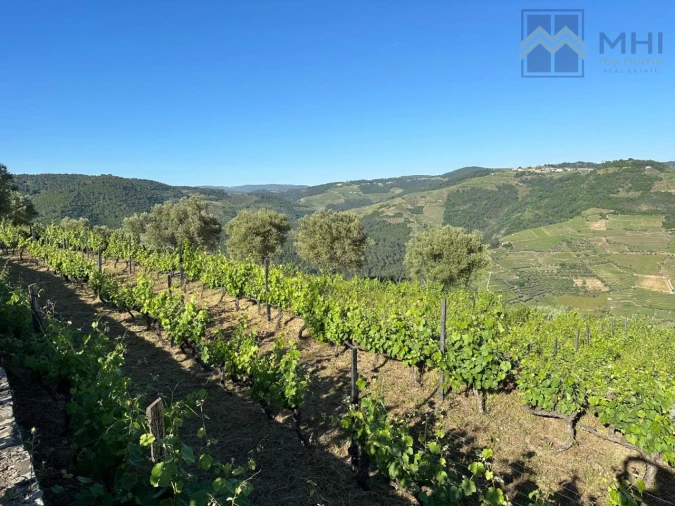 Quinta T6 para Venda em Nogueira e Ermida Foto 6