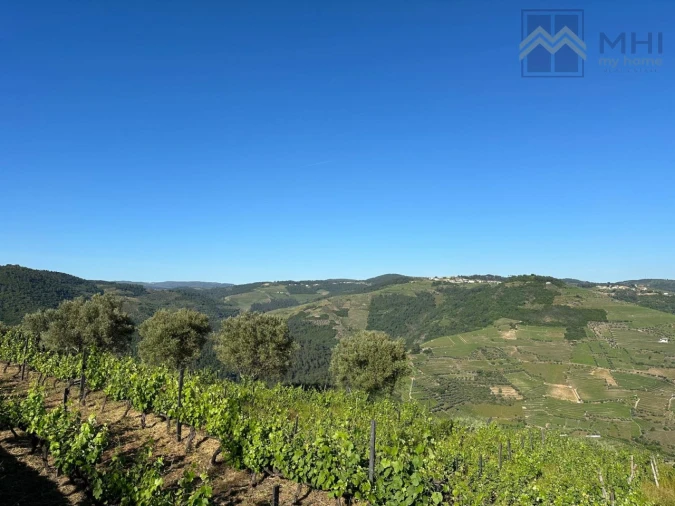 Quinta T6 para Venda em Nogueira e Ermida Foto 8