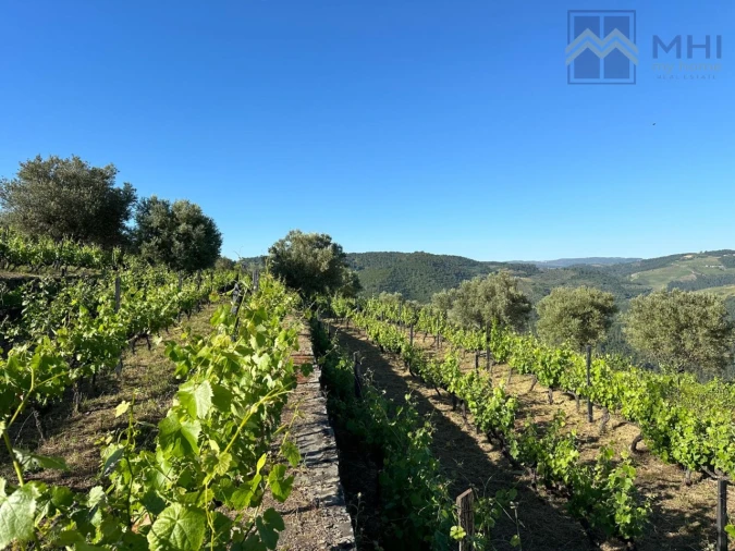 Quinta T6 para Venda em Nogueira e Ermida Foto 2