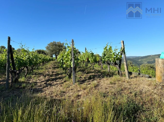 Quinta T6 para Venda em Nogueira e Ermida Foto 13