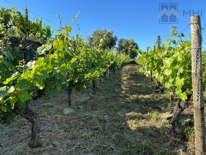 Quinta T6 para Venda em Nogueira e Ermida Foto 27