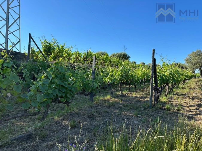 Quinta T6 para Venda em Nogueira e Ermida Foto 29