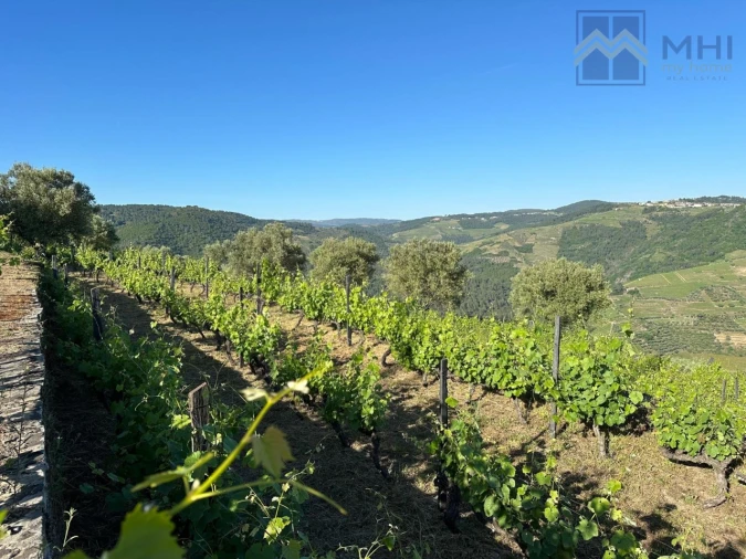 Quinta T6 para Venda em Nogueira e Ermida Foto 36