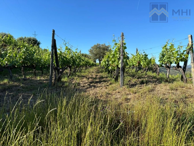 Quinta T6 para Venda em Nogueira e Ermida Foto 37