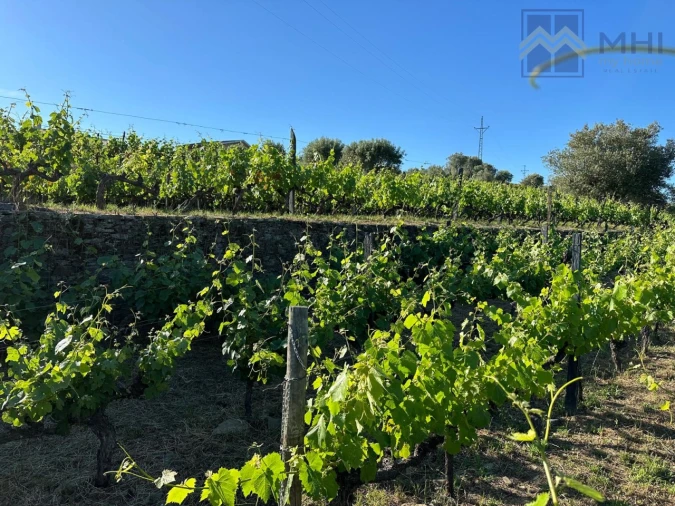 Quinta T6 para Venda em Nogueira e Ermida Foto 52