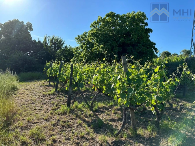 Quinta T6 para Venda em Nogueira e Ermida Foto 53