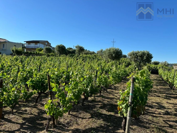 Quinta T6 para Venda em Nogueira e Ermida Foto 56