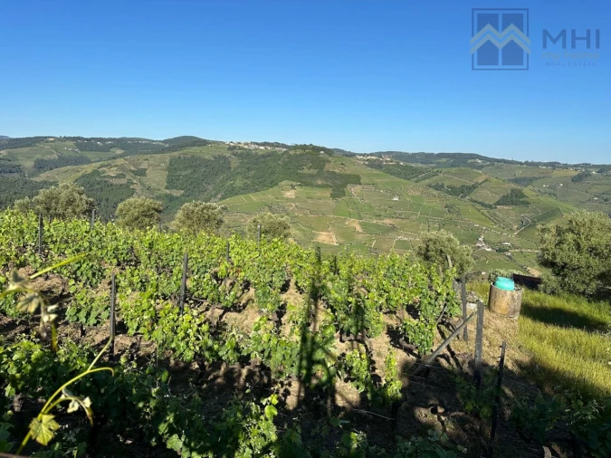 Quinta T6 para Venda em Nogueira e Ermida Foto 62