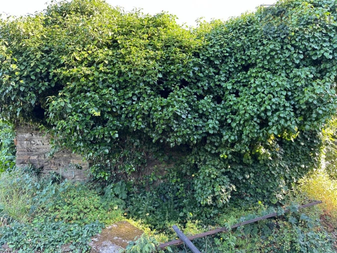 Quinta T6 para Venda em Nogueira e Ermida Foto 64