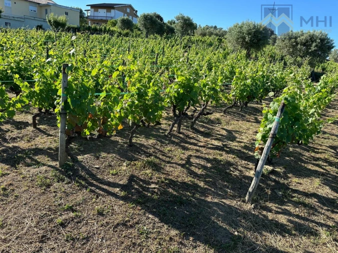 Quinta T6 para Venda em Nogueira e Ermida Foto 68