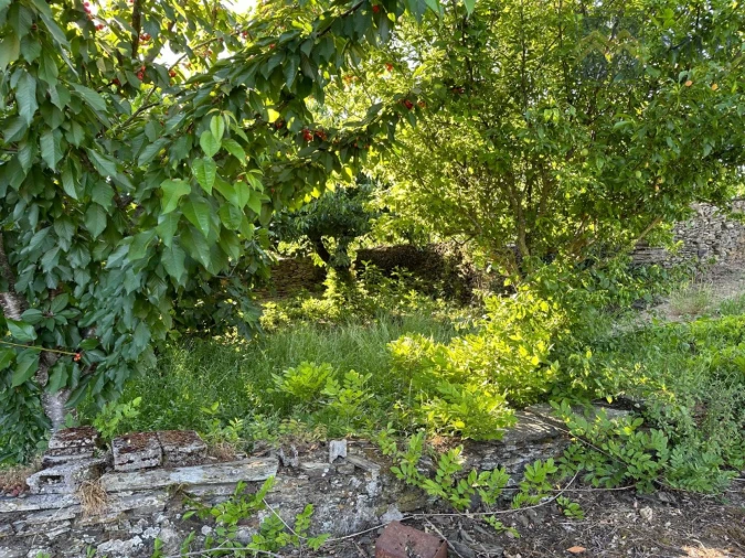 Quinta T6 para Venda em Nogueira e Ermida Foto 69