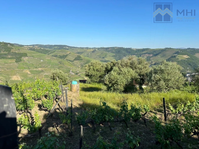 Quinta T6 para Venda em Nogueira e Ermida Foto 70