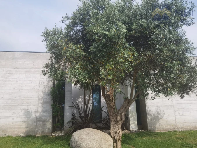 Quinta T9 para Venda em Sandim, Olival, Lever e Crestuma Foto 9